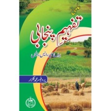 Tafheem Punjabi - for CSS (تفہیم پنجابی)
