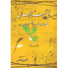 AAYENA-E-JAHAAN (2) - AFSANAY